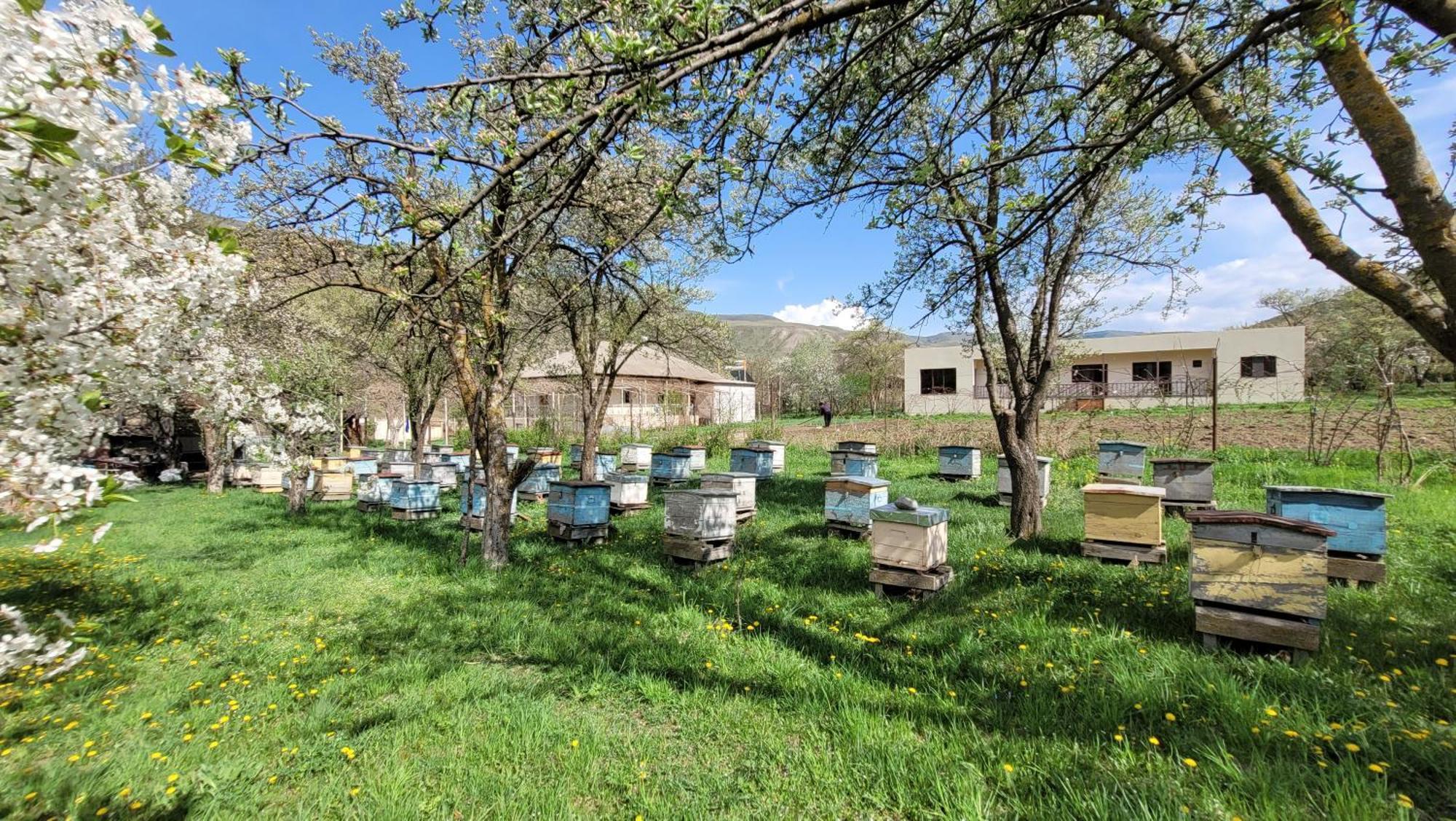 Hotel Bee House Pia Exteriér fotografie